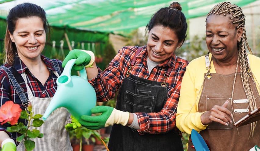 Smiling ladies watering plants